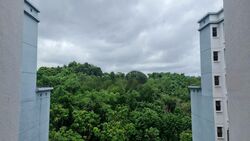 Parkview Apartments (D23), Apartment #448218841